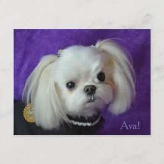 Tarjetas de nota de Ava