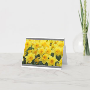 TARJETAS DE NOTA DE DAFFODIL