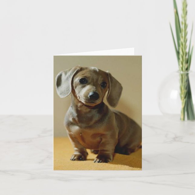 Tarjetas de nota de Daschund (Anverso)
