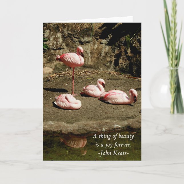 TARJETAS DE NOTA DE FLAMINGO ROSA (Anverso)