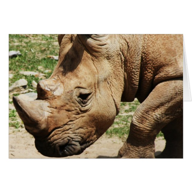 TARJETAS DE NOTA DE FOTOS ANIMALES (Anverso (Horizontal))