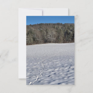 Tarjetas de nota de impresiones en un campo nevado