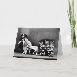 Tarjetas de nota de los perritos y de los gatitos