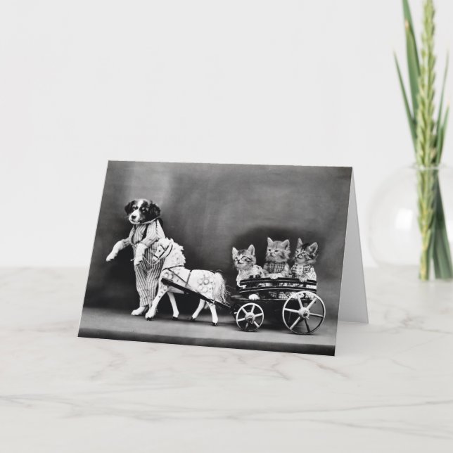 Tarjetas de nota de los perritos y de los gatitos (Anverso)