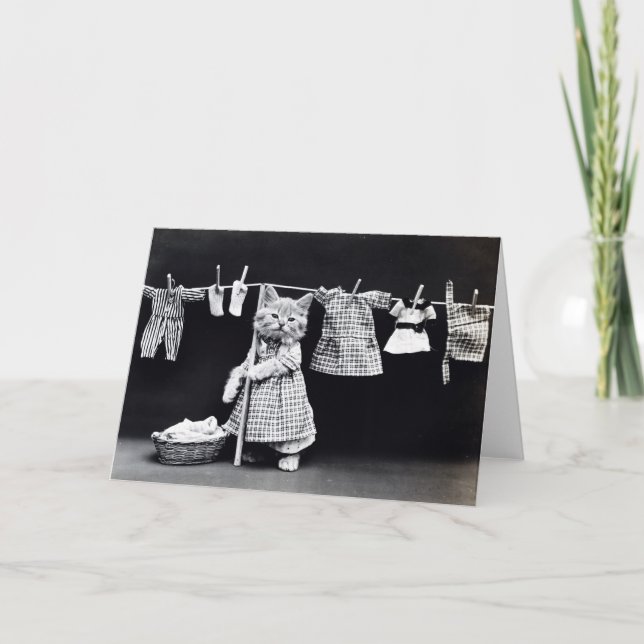 Tarjetas de nota de los perritos y de los gatitos (Anverso)