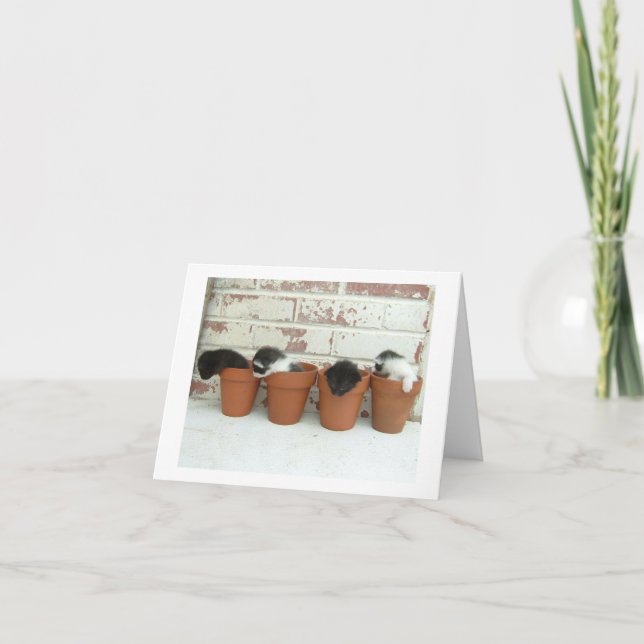 Tarjetas de nota de los potes del gatito (Anverso)