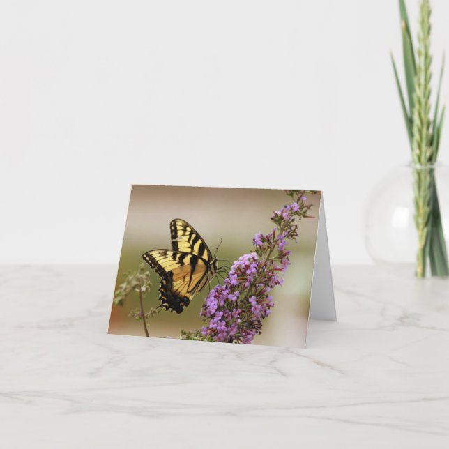Tarjetas de nota de mariposa (Anverso)