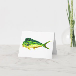 TARJETAS DE NOTA DE SPORTFISH