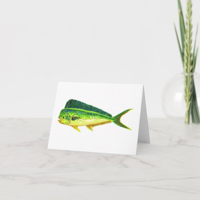 TARJETAS DE NOTA DE SPORTFISH (Anverso)