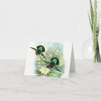 Tarjetas de nota de Waterlilies de los colibríes