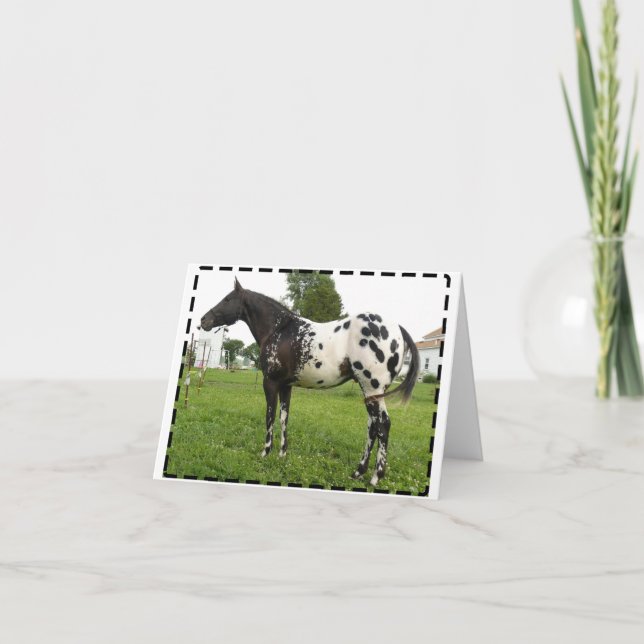 TARJETAS DE NOTA DEL JET DE LA ABEJA DE LA BOOGIE (Anverso)