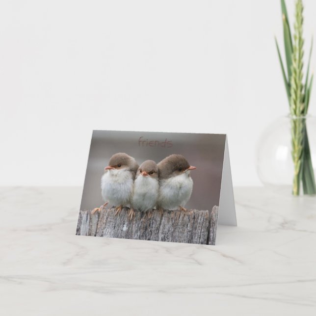 Tarjetas de nota del palillo de los amigos junto (Anverso)