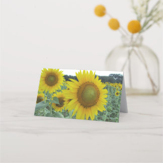 Tarjetas de nota dobladas girasol alegre
