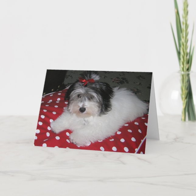 TARJETAS DE NOTA DULCES DE BROOKLYN (Anverso)