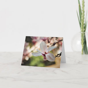 Tarjetas de nota dulces de las magnolias