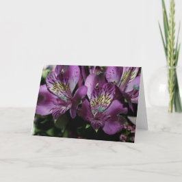 TARJETAS DE NOTA FLORADAS