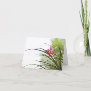 Tarjetas de nota mágicas del lirio de hadas