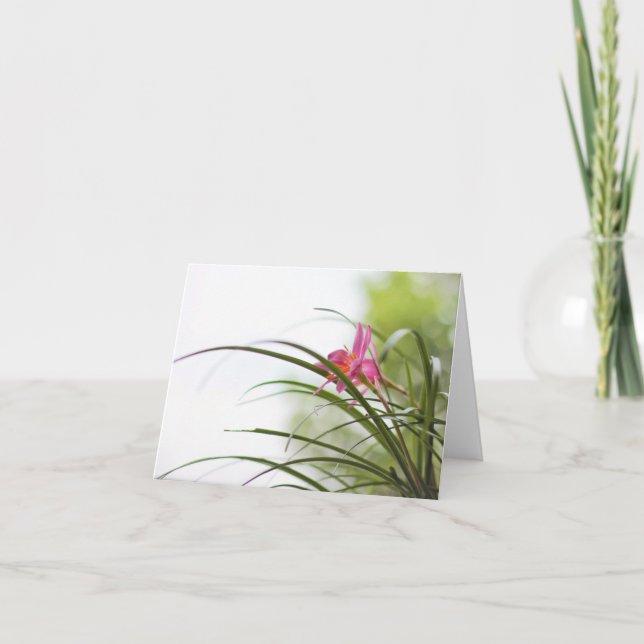 Tarjetas de nota mágicas del lirio de hadas (Anverso)