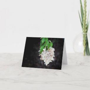 Tarjetas de Nota para el Corazón Lilac
