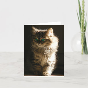 Tarjetas de nota para gatitos