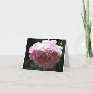 Tarjetas de nota rosadas clásicas del Peony