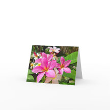Tarjetas de nota rosadas perfectas del Plumeria