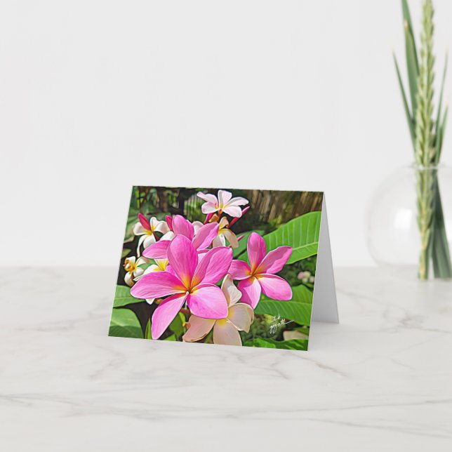 Tarjetas de nota rosadas perfectas del Plumeria (Anverso)