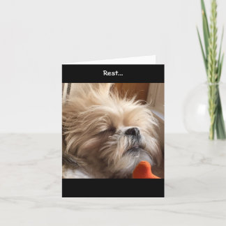 Tarjetas de nota/tolerancia y gloria asombrosas