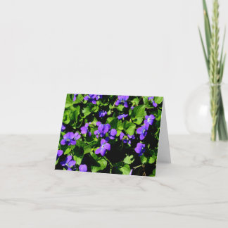 Tarjetas de nota violetas