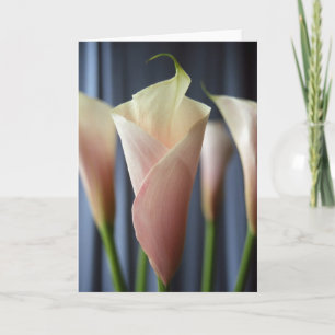 Tarjetas de notas con foto de lirio de calla blanc