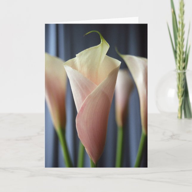 Tarjetas de notas con foto de lirio de calla blanc (Anverso)