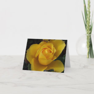 Tarjetas de notas con variedad de jardín de amigos