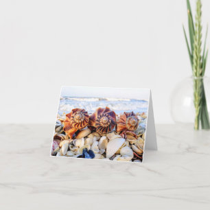 Tarjetas de notas de abrumador relámpago