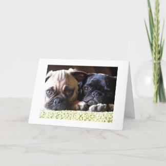 Tarjetas de notas de amor de pug