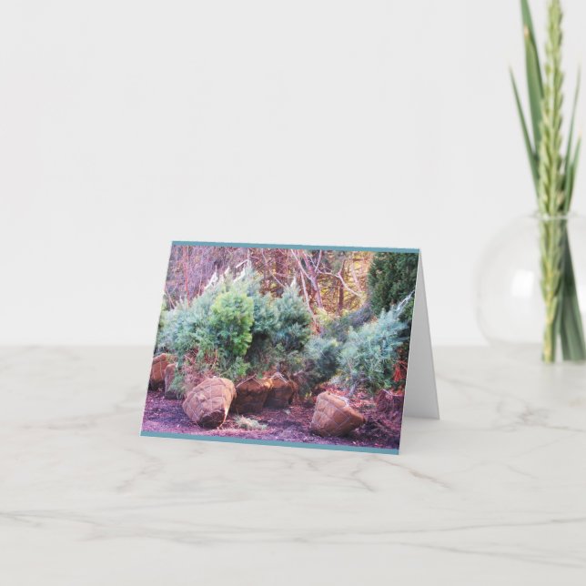 Tarjetas de notas de árbol de Navidad (Anverso)