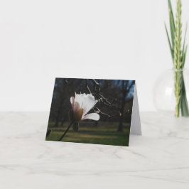 Tarjetas de notas de arte de flor de magnolia rosa