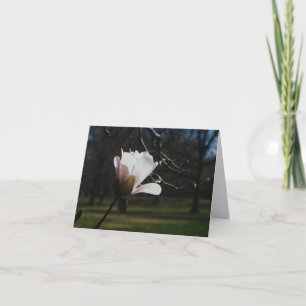 Tarjetas de notas de arte de flor de magnolia rosa