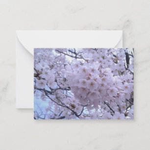 Tarjetas de notas de cerezo sakura