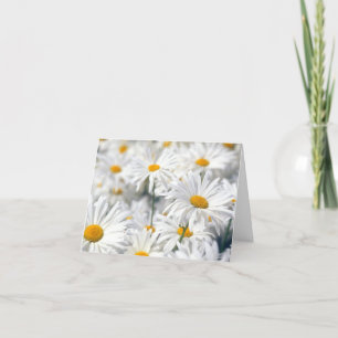 Tarjetas de notas de Daisy