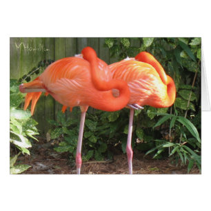 Tarjetas de notas de flamencos rosados