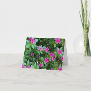 Tarjetas de notas de flor