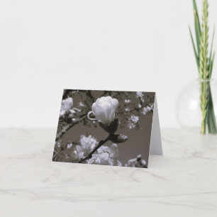 Tarjetas de notas de flor de magnolia vintage – Co