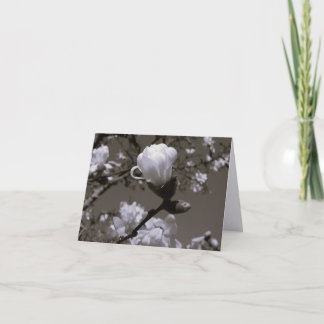 Tarjetas de notas de flor de magnolia vintage – Co