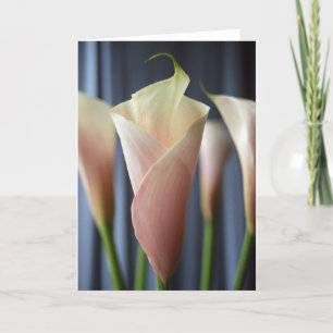 Tarjetas de notas de fotos de la Fiesta de cóctele