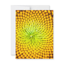 Tarjetas de notas de girasol
