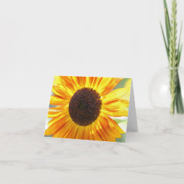 Tarjetas de notas de girasol amarillo