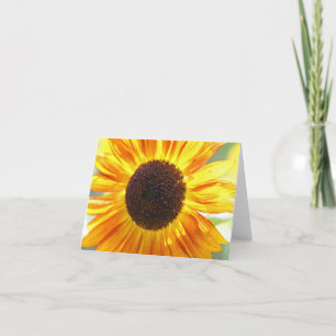 Tarjetas de notas de girasol amarillo