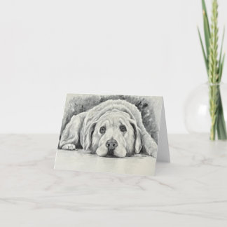 Tarjetas de notas de Golden Retriever