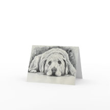 Tarjetas de notas de Golden Retriever