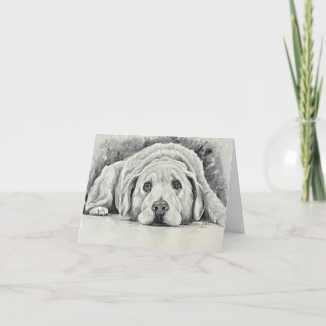 Tarjetas de notas de Golden Retriever (Anverso)